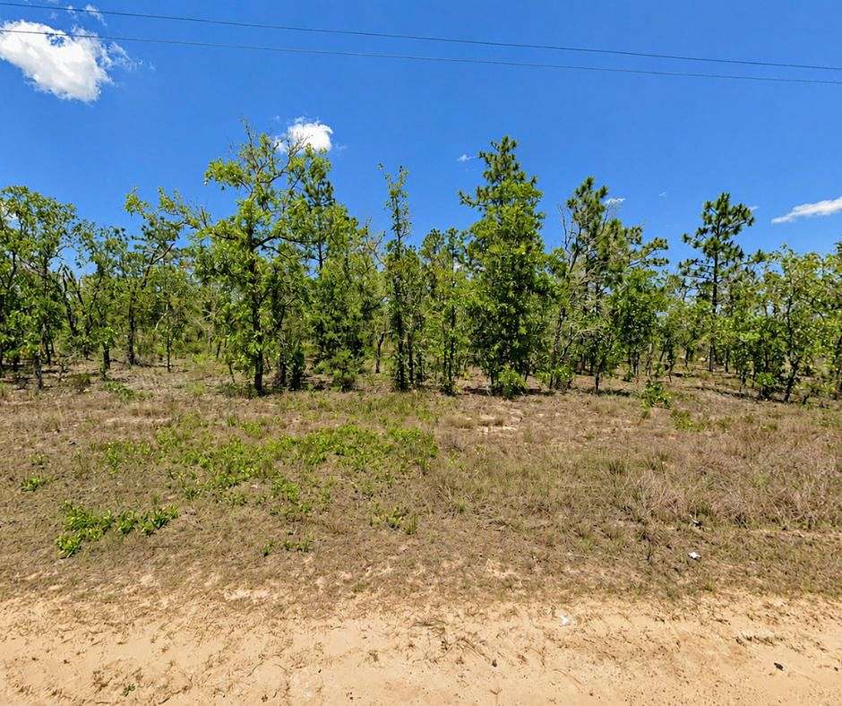 0.4 Acres of Residential Land for Sale in Palatka, Florida