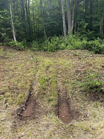 1.4 Acres of Residential Land for Sale in Wakefield, Michigan