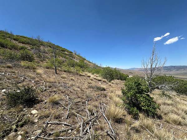 1 Acre of Land for Sale in Indianola, Utah