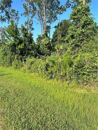 0.23 Acres of Residential Land for Sale in Palm Coast, Florida