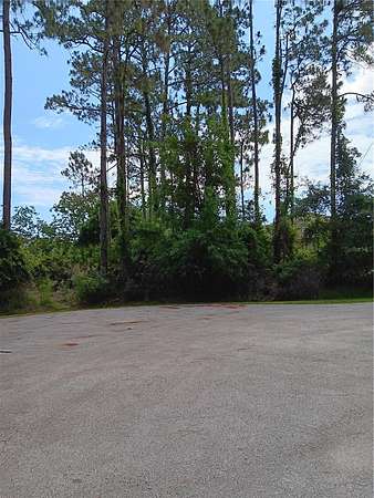 0.26 Acres of Residential Land for Sale in Palm Coast, Florida