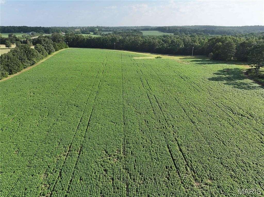 68 Acres of Land for Sale in Marquand, Missouri