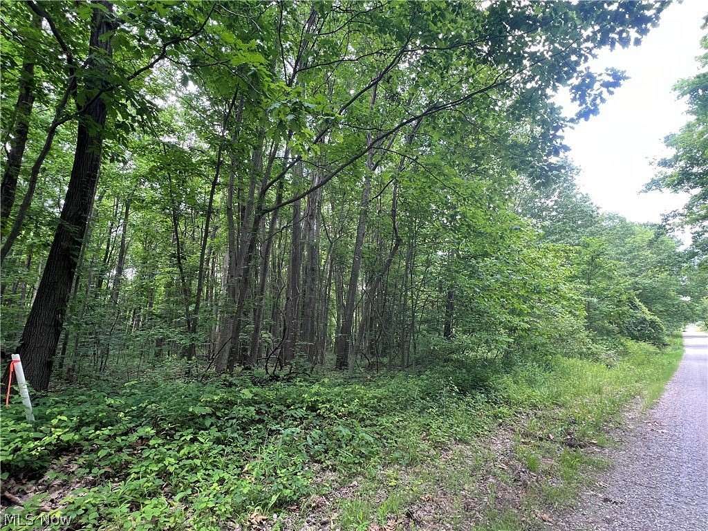 50 Acres of Recreational & Residential Land for Sale in Conneaut, Ohio