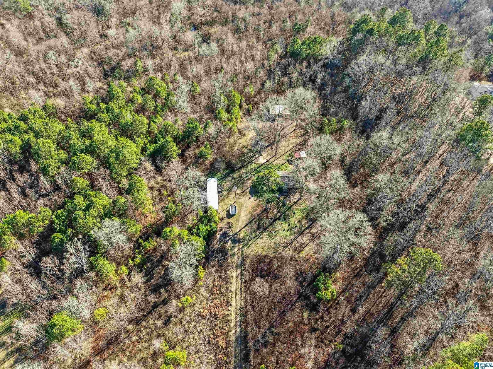 55 Acres of Recreational & Residential Land for Sale in Ashville, Alabama