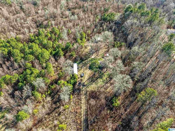 55 Acres of Recreational & Residential Land for Sale in Ashville, Alabama