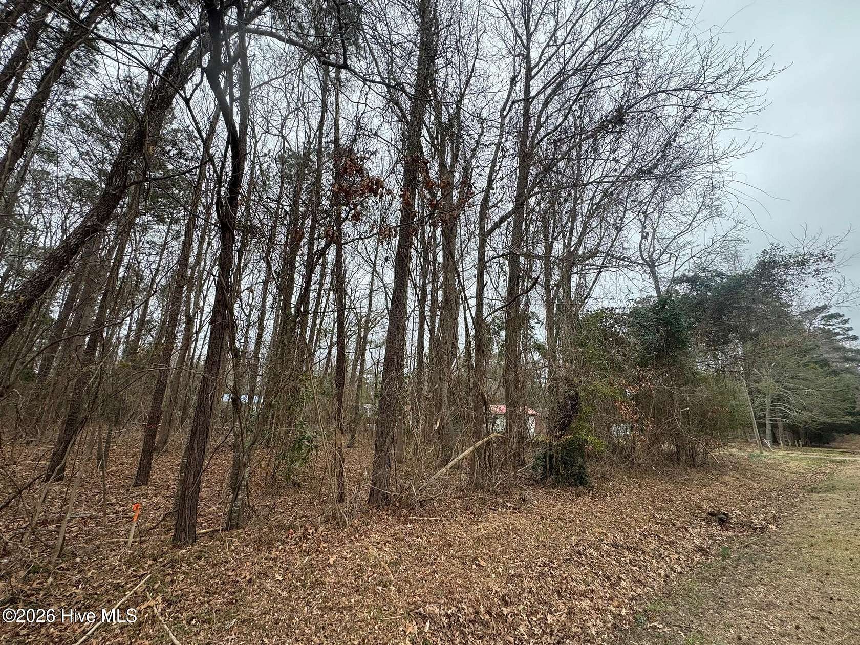 0.25 Acres of Residential Land for Sale in Hertford, North Carolina