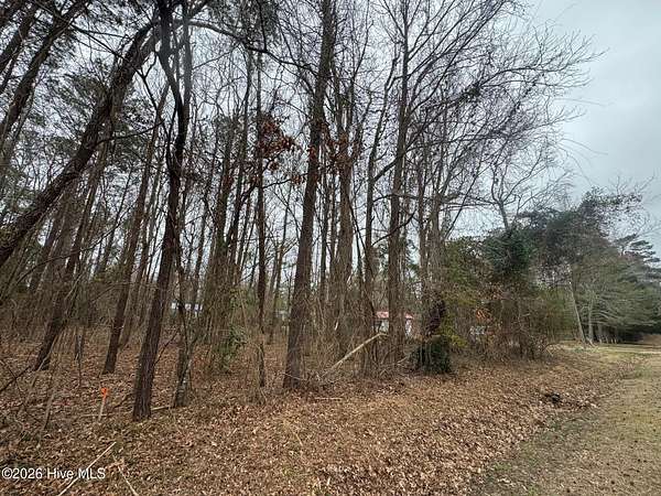 0.25 Acres of Residential Land for Sale in Hertford, North Carolina