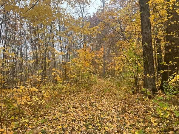 40 Acres of Agricultural Land with Home for Sale in Isle, Minnesota