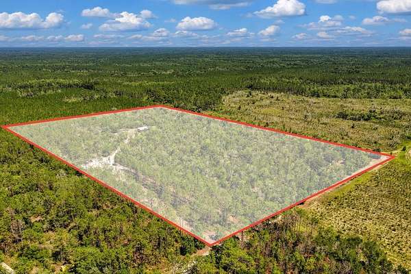 25 Acres of Recreational Land with Home for Sale in Bell, Florida