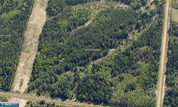 40 Acres of Recreational & Residential Land for Sale in Hibbing, Minnesota