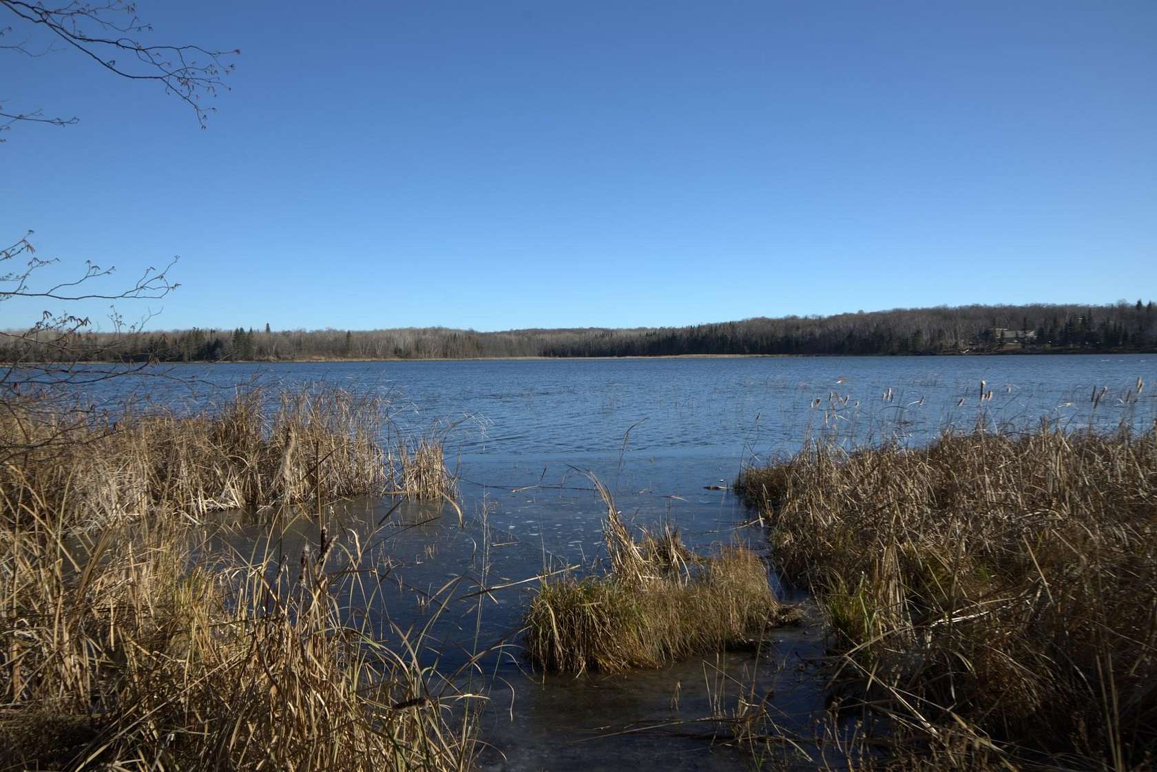 8.2 Acres of Residential Land for Sale in Ogema, Minnesota
