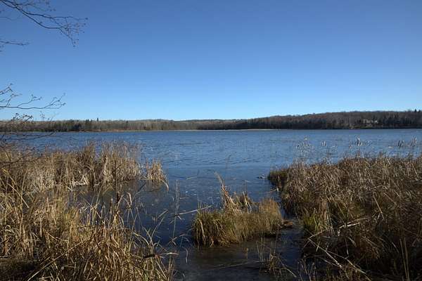 8.2 Acres of Residential Land for Sale in Ogema, Minnesota