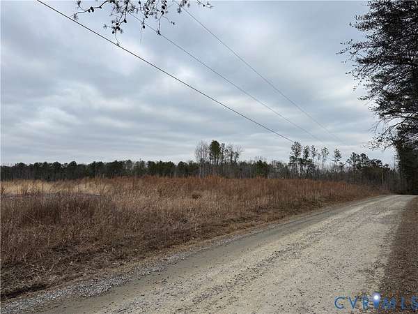 20 Acres of Land for Sale in Laneview, Virginia