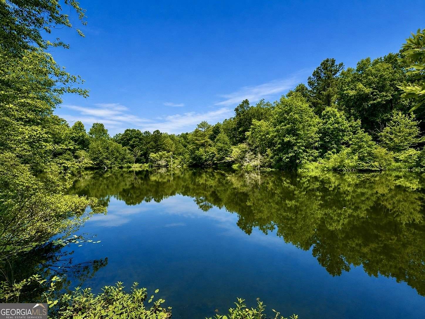 42 Acres of Recreational & Residential Land for Sale in Macon, Georgia
