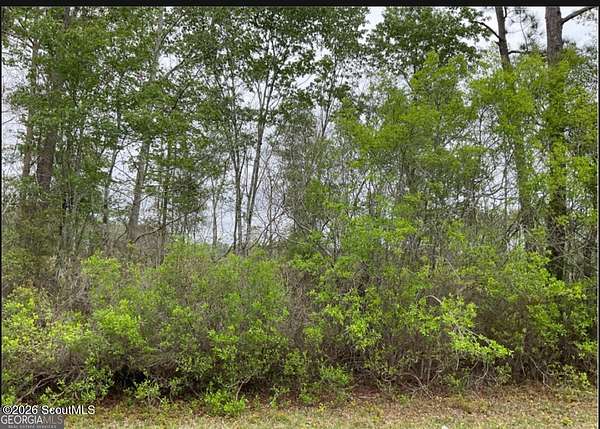 16 Acres of Land for Sale in Townsend, Georgia