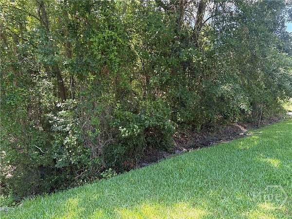 0.32 Acres of Residential Land for Sale in Savannah, Georgia