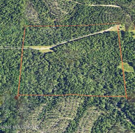 40 Acres of Recreational Land for Sale in Leakesville, Mississippi