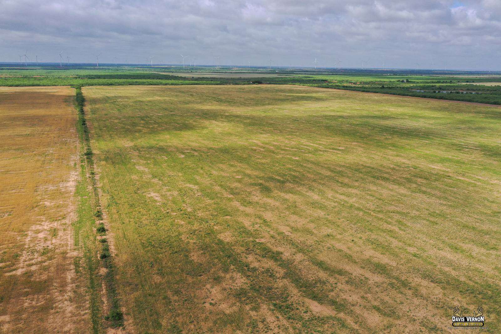 140 Acres of Agricultural Land for Sale in Foard City, Texas