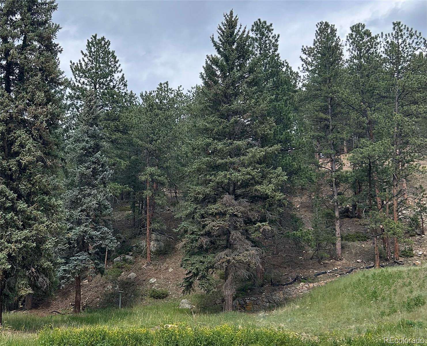 0.58 Acres of Residential Land for Sale in Evergreen, Colorado