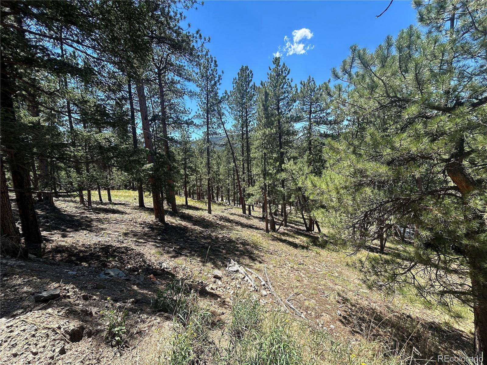 0.41 Acres of Land for Sale in Evergreen, Colorado