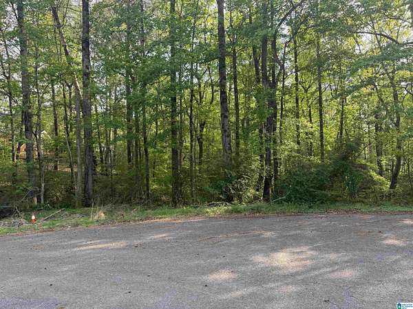 0.54 Acres of Residential Land for Sale in Bessemer, Alabama