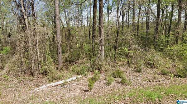 0.7 Acres of Residential Land for Sale in Adamsville, Alabama