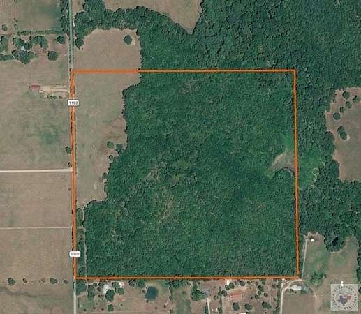 74.4 Acres of Recreational & Residential Land for Sale in Maud, Texas