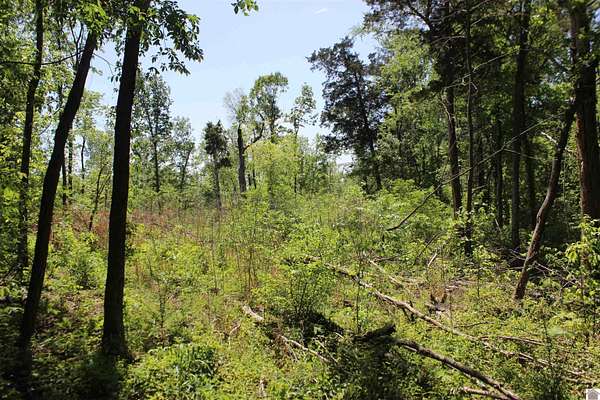 13.9 Acres of Land for Sale in Kirksey, Kentucky