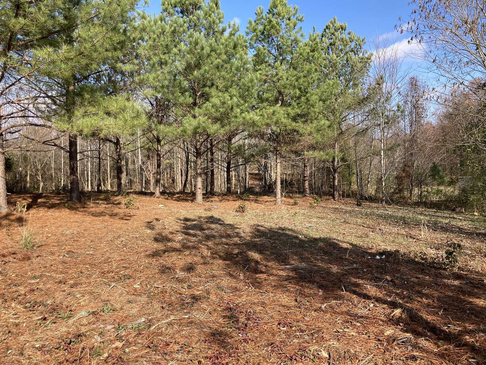 1.12 Acres of Residential Land for Sale in Summertown, Tennessee