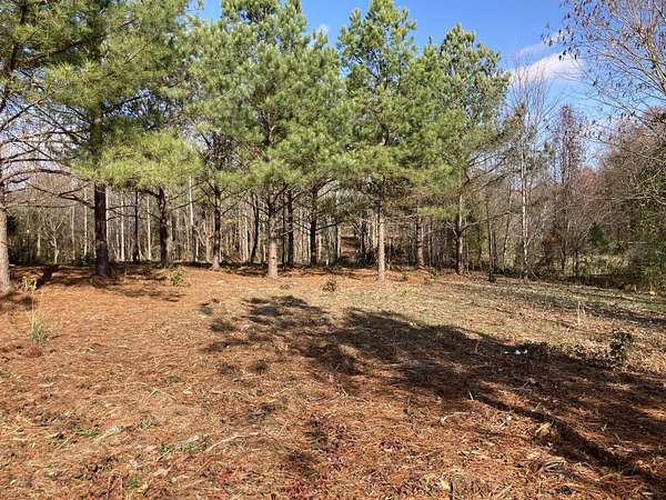 1.12 Acres of Residential Land for Sale in Summertown, Tennessee