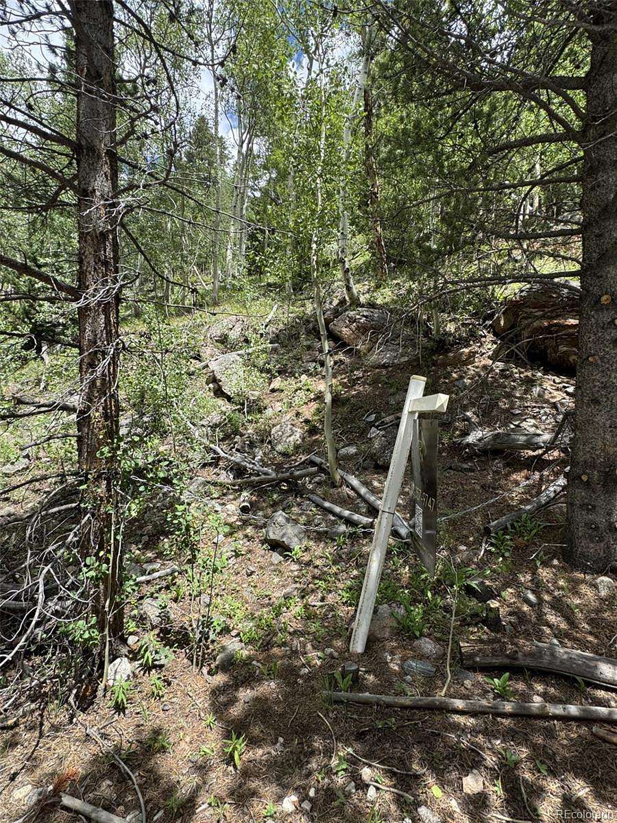 1.1 Acres of Residential Land for Sale in Idaho Springs, Colorado