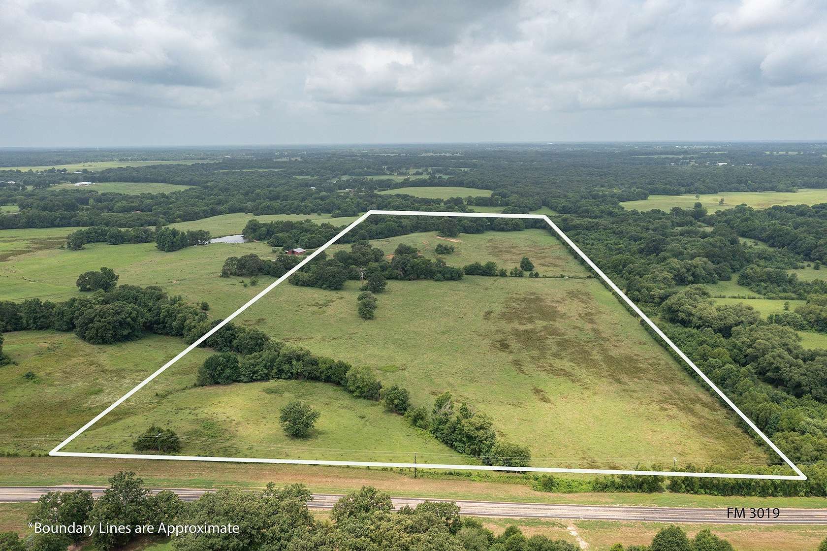 48.5 Acres of Land for Sale in Winnsboro, Texas