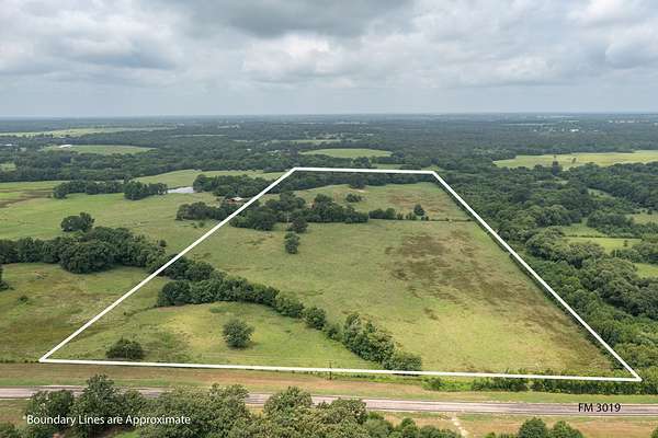 48.5 Acres of Land for Sale in Winnsboro, Texas
