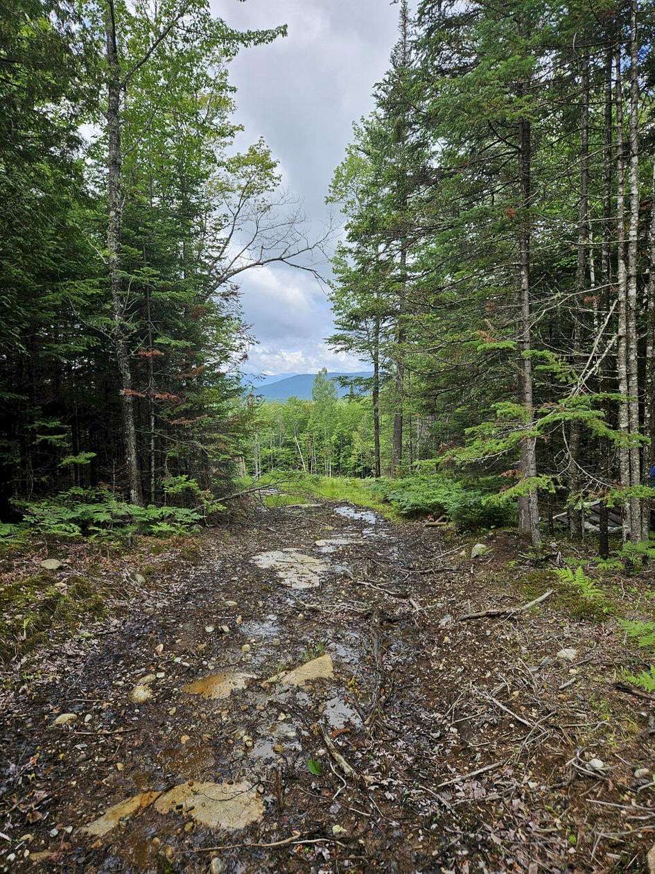 24.1 Acres of Land for Sale in Embden, Maine