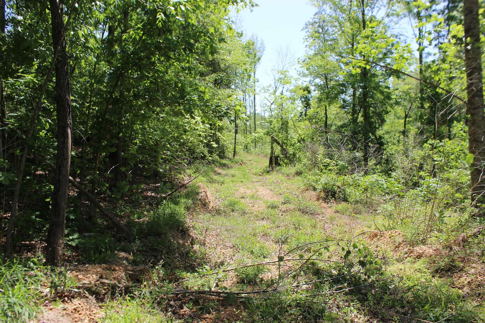 13.9 Acres of Land for Sale in Benton, Kentucky