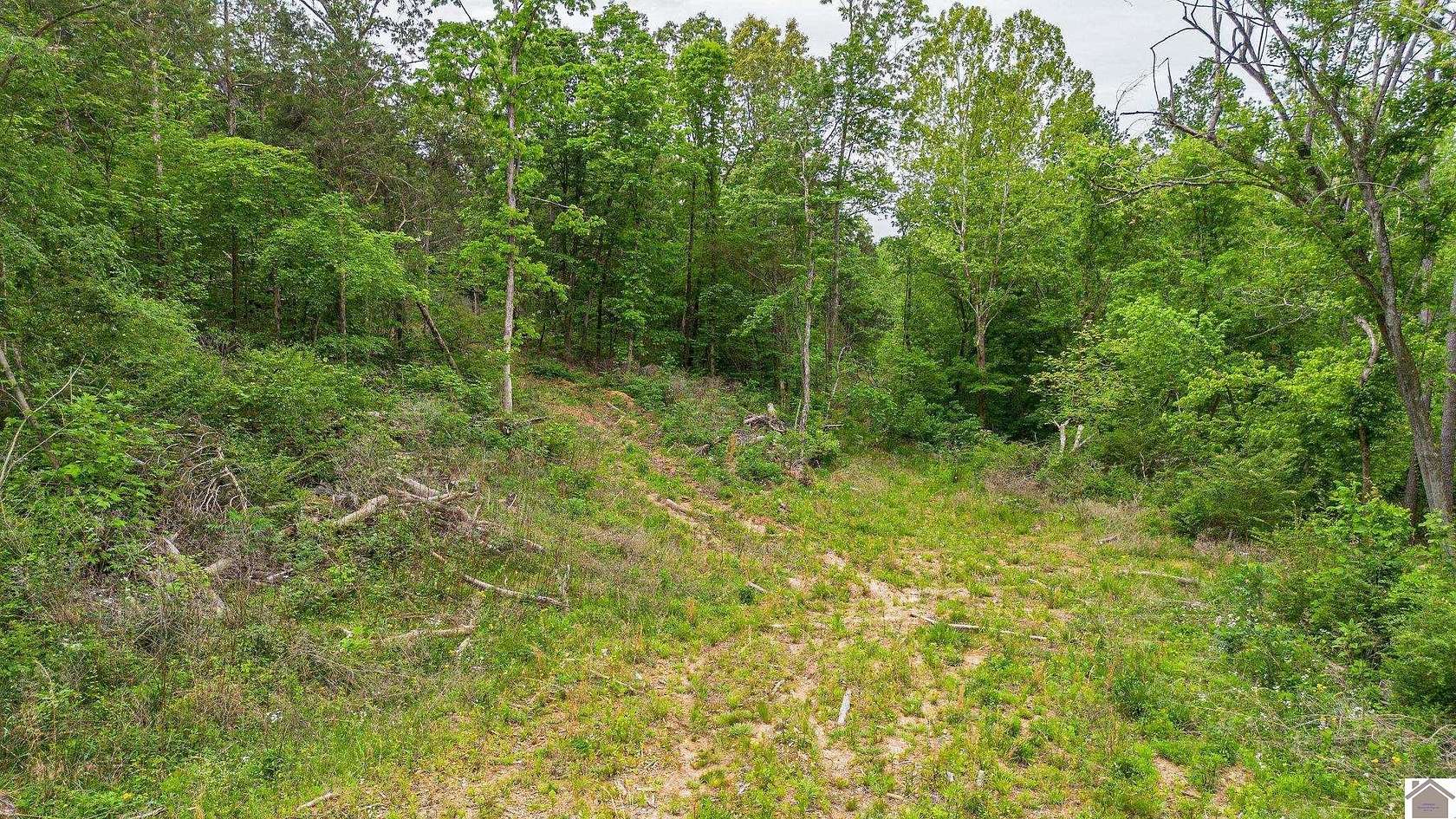 13.9 Acres of Land for Sale in Kirksey, Kentucky