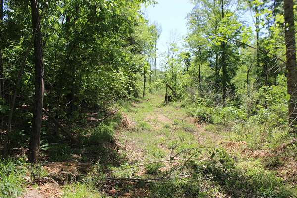 13.9 Acres of Land for Sale in Benton, Kentucky