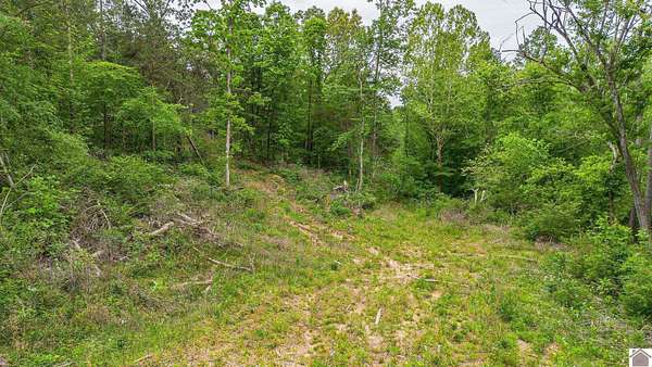 13.9 Acres of Land for Sale in Kirksey, Kentucky