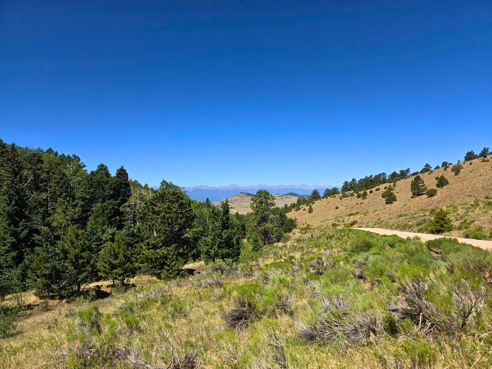 7.7 Acres of Residential Land for Sale in Westcliffe, Colorado