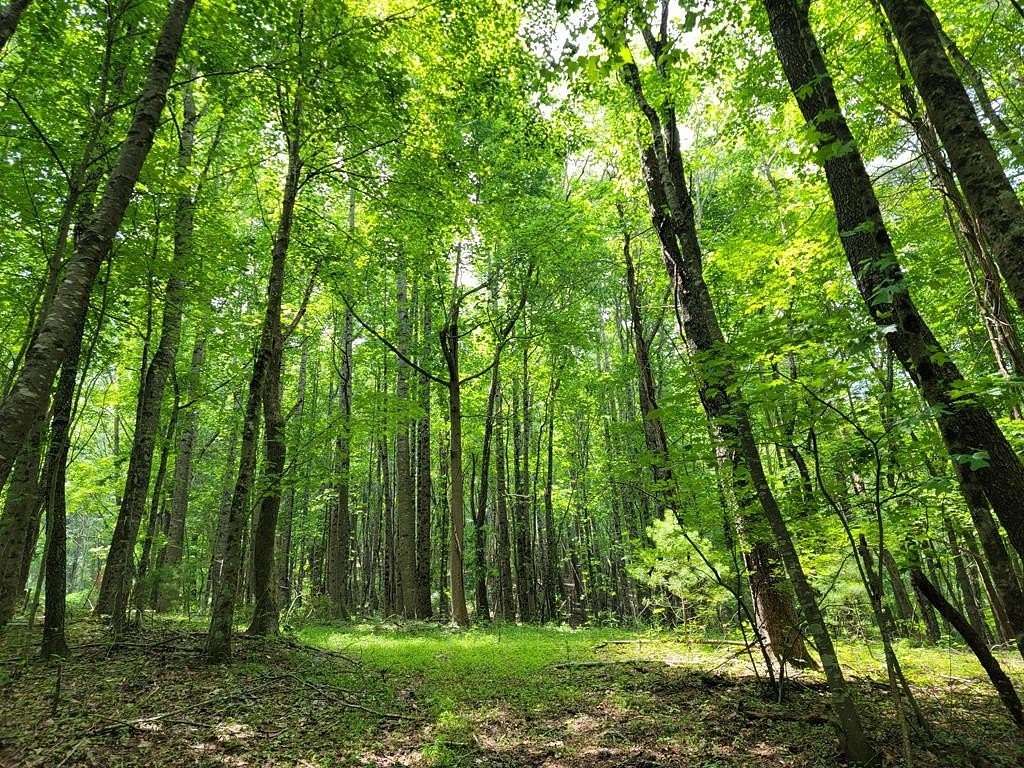 25.6 Acres of Land for Sale in Fries, Virginia