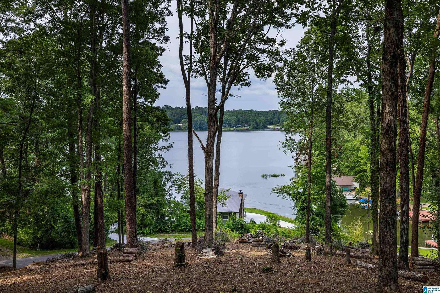 1.7 Acres of Residential Land for Sale in Oneonta, Alabama