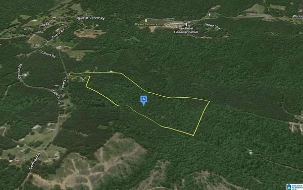 34 Acres of Recreational & Residential Land for Sale in Warrior, Alabama