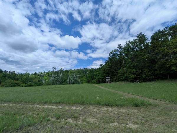 79 Acres of Recreational Land for Sale in Boyne Falls, Michigan