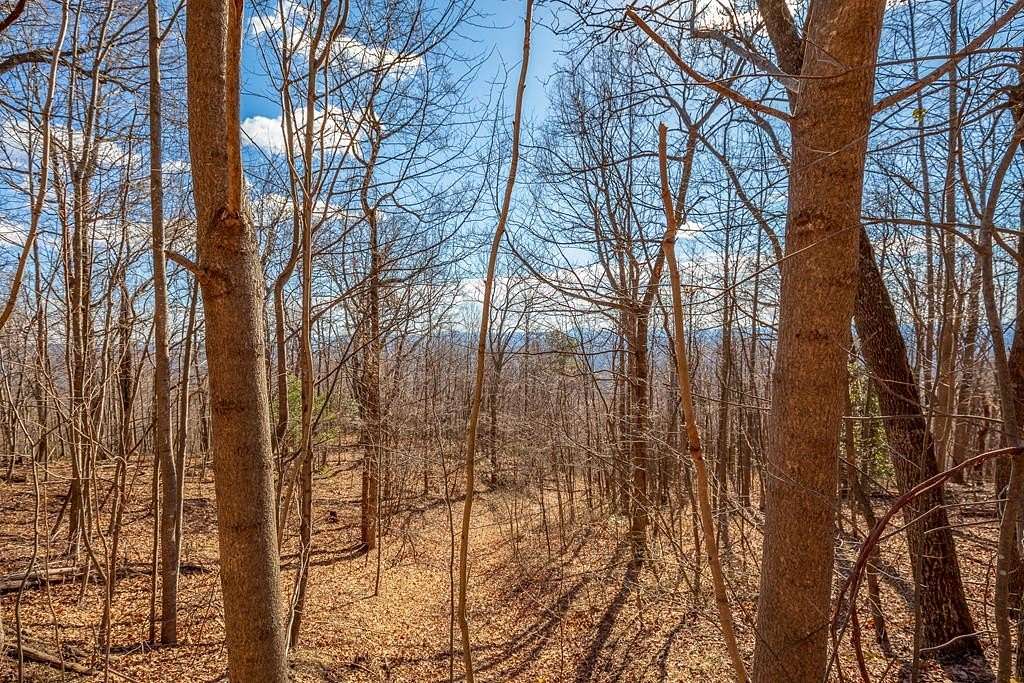 5 Acres of Residential Land for Sale in Fancy Gap, Virginia