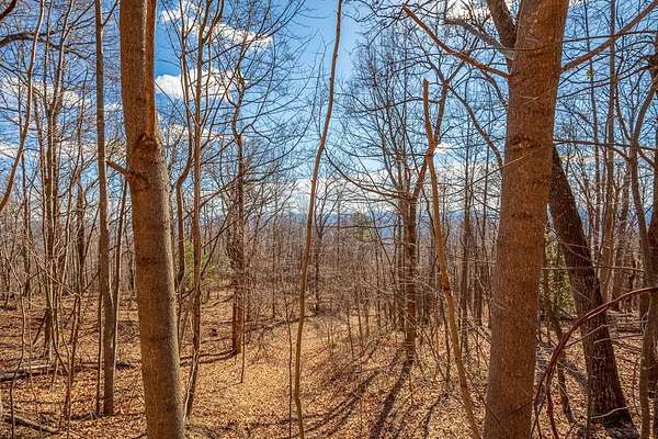 5 Acres of Residential Land for Sale in Fancy Gap, Virginia