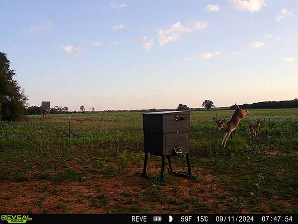 80.3 Acres of Land for Sale in Comanche, Texas