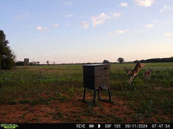 80.3 Acres of Land for Sale in Comanche, Texas