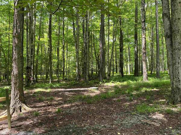 6.79 Acres of Residential Land for Sale in Davis, West Virginia