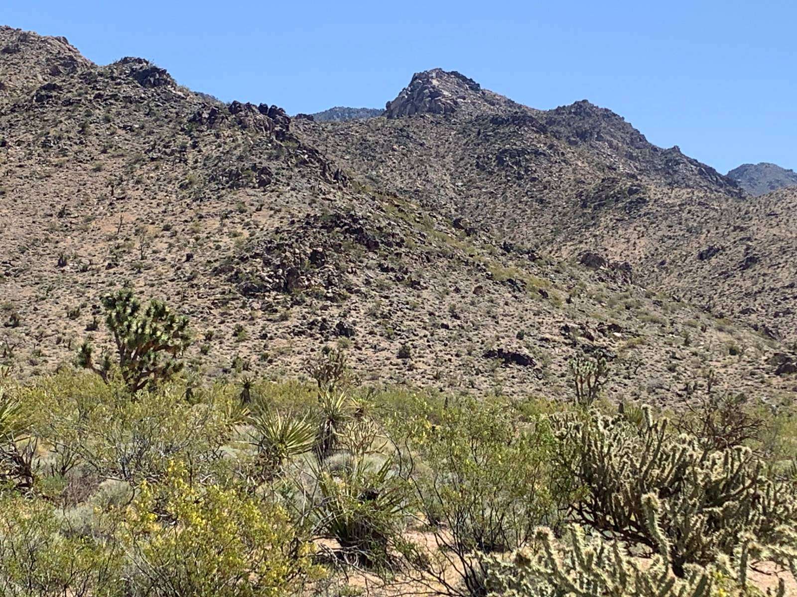 1 Acre of Residential Land for Sale in Dolan Springs, Arizona