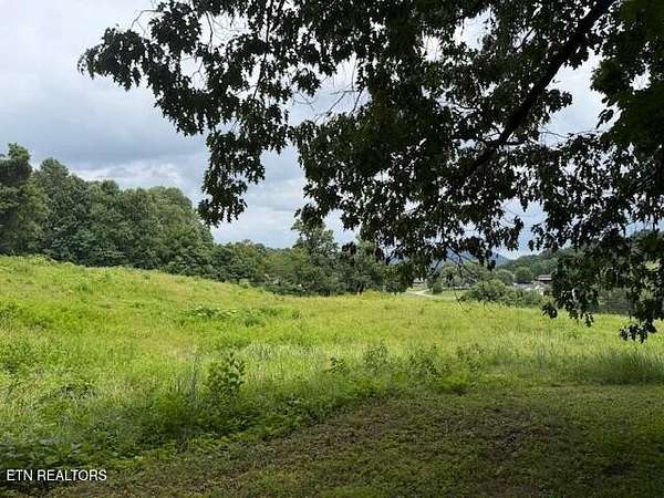 15.3 Acres of Land for Sale in Luttrell, Tennessee